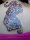 Tiger tatt fini! tattoo