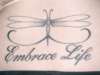 Embrace Life Like the Mayfly tattoo
