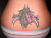 Tribal Horse Tat tattoo