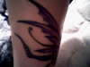 side of fairy tatt tattoo