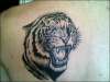 tiger... tattoo