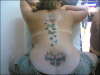 12 Butterflys Flying up my back .. Tribal Dolphin Base of Back.. tattoo