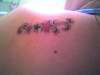 Newest Tattoo on Left shoulder