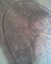 Celtic Shield in Progress tattoo