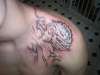 Dragon tattoo