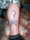 Celtic Scorpian tattoo