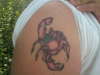 scorpian are something like that tattoo