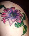 the beginning of my shoulder piece tattoo