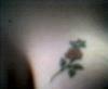 Rose and a butterfly tattoo