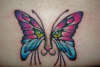 Butterfly/Cat tattoo