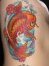 Koi Fish - Done tattoo