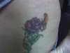 rose and butterfly tattoo