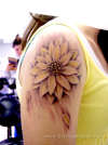 Lotus tattoo