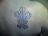 baz welsh feathers tattoo