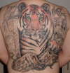 tiger backpiece tattoo