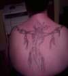 feathers tattoo