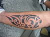 tribal steve tattoo