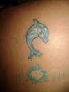 Dolphin tattoo