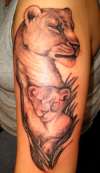LIONESS & HER CUB tattoo