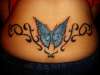 TRIBAL BUTTERFLY tattoo