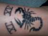 tribal scorpion tattoo