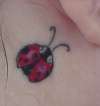 Ladybug tattoo