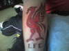 liverbird tattoo