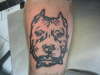 Pit Bull tattoo