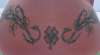Shamrocks and Vines (back) tattoo