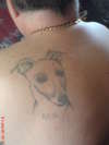 lurcher tattoo