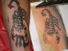 Scorpio tattoo