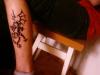 TsunDragon tattoo