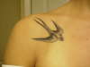 Swallow on right shoulder tattoo