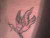 my dove tattoo