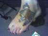 rose tattoo