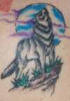 Wolf tattoo