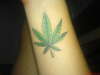 marijuana leaf on right arm tattoo