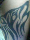my tribal wolf tattoo