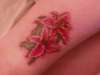 lilies tattoo