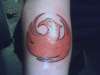 phoenix tattoo