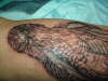 close up of hawk tattoo