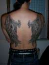 wingys tattoo