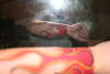Flame sleeve tattoo
