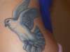 My dove tattoo