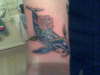 roys dolphin tattoo