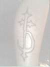 DevilDriver tattoo