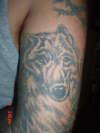 wolf tattoo