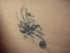 Butterfly tattoo
