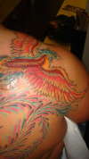 Bird of Paradise tattoo