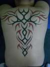 Finished Back tattoo